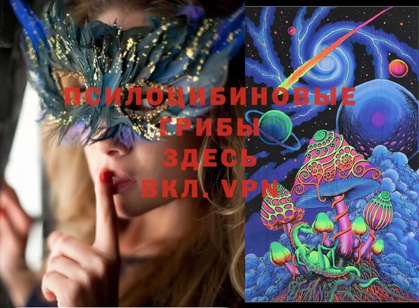 гашик Алзамай