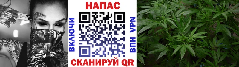 Бошки марихуана планчик  хочу наркоту  KRAKEN рабочий сайт  Агрыз 